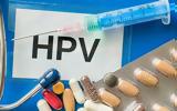 Έλλειψη, Έλληνες, Ανθρώπινων Θηλωμάτων HPV,elleipsi, ellines, anthropinon thilomaton HPV