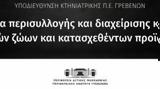 Πρόγραμμα,programma