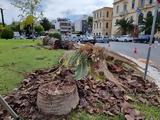 Χανιά | Κόψανε, Πλατεία Δικαστηρίων,chania | kopsane, plateia dikastirion