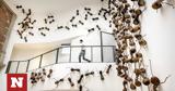 Μια ανατριχιαστική έκθεση με αράχνες και έντομα να κυκλοφορούν ελεύθερα στον χώρο,
