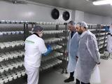 Εβροφάρμα, Αύξηση, 2022,evrofarma, afxisi, 2022