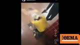 Shock Video ‘Juvenile’ Puts Gun, Commuter’s Head,Subway