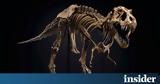 Christie’s, T-Rex, Χονγκ Κονγκ -,Christie’s, T-Rex, chongk kongk -