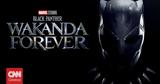 Black Panther, Wakanda Forever, Ποιος, Τσάντγουικ Μπόουζμαν,Black Panther, Wakanda Forever, poios, tsantgouik boouzman