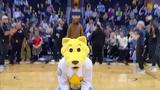 Rocky, Mountain Lion,NBA