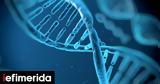 Σημαντική, Βιολογία, -Πώς, DNA,simantiki, viologia, -pos, DNA