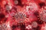 Ο κορωνοϊός αλλάζει μέσα σε τρεις μήνες όσο η γρίπη σε δύο χρόνια,