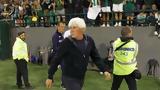 Παναθηναϊκός, Λαμία,panathinaikos, lamia