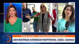 Δίκη Φιλιππίδη, Κατέθεσαν Μακρυπούλια Σχίζα Χαλκιάς,diki filippidi, katethesan makrypoulia schiza chalkias