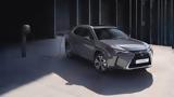 Lexus UX 300e,