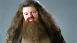 Robbie Coltrane, Πέθανε, Χάγκριντ, Χάρι Πότερ,Robbie Coltrane, pethane, chagkrint, chari poter