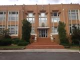 Πότε, Χριστούγεννα 2022,pote, christougenna 2022