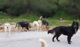 Εύβοια, Σοβαροί,evvoia, sovaroi