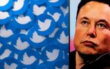 Αναταραχή, Twitter, Ελον Μασκ,anatarachi, Twitter, elon mask