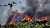 Πυρκαγιά, Αστεραίικα Ηλείας,pyrkagia, asteraiika ileias