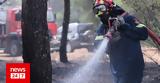 Φωτιά, Δανακό Νάξου, Επιχειρούν,fotia, danako naxou, epicheiroun