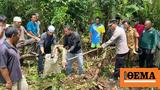 54-Year Old Grandma In Indonesia Reportedly Eaten Alive By 22-Foot Python,