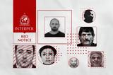 12 Έλληνες, Ιντερπόλ,12 ellines, interpol