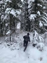 Viral,
