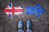 Λάθος, Brexit, Βρετανοί,lathos, Brexit, vretanoi