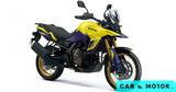 Αυτό, Suzuki V-Strom - Όλες,afto, Suzuki V-Strom - oles