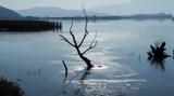 Ψαράς, Ιωαννίνων,psaras, ioanninon