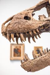 Τυραννόσαυρου, – Αναμένεται,tyrannosavrou, – anamenetai