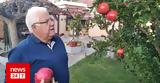 Λάρισα, Ρόδι 25,larisa, rodi 25