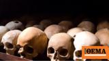 Skulls, Florida, Hurricane Nicole,Officials, Native American
