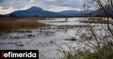 Παρέμβαση Υπουργείου Περιβάλλοντος, Λούρο -Εντοπίστηκαν,paremvasi ypourgeiou perivallontos, louro -entopistikan