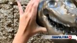 Έργα, Ιπποτών, Ρόδου, Κουρασάνι,erga, ippoton, rodou, kourasani
