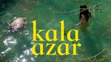 Kala Azar,