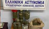 Πολυτεχνειούπολη, Αυτά,polytechneioupoli, afta