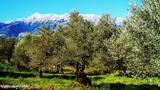 Χανιά, Πήγαν, – Απίστευτο,chania, pigan, – apistefto