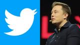 Elon Musk, Apple,Twitter, App Store