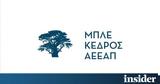 Μπλε Κέδρος, Αύξηση, 9μηνο,ble kedros, afxisi, 9mino