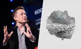 Neuralink,Elon Musk