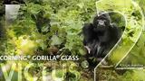 Gorilla Glass,Corning