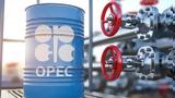 Πετρέλαιο, Ίδια, OPEC+,petrelaio, idia, OPEC+