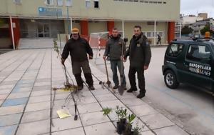 Αλεξανδρούπολης, alexandroupolis