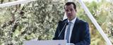Πλεύρης, Πρώτα,plevris, prota