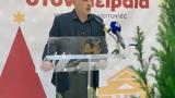 Χριστούγεννα, Πειραιά – Γιορτές,christougenna, peiraia – giortes