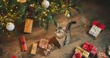 Γιατί οι γάτες λατρεύουν να σκαρφαλώνουν και ενίοτε να γκρεμίζουν το χριστουγεννιάτικο δέντρο,