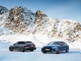 RS 6, RS 7 Performance,+30