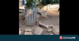 Νεκρό, Ζωολογικό Λεμεσού, Ο Ρούντολφ, Χριστούγεννα,nekro, zoologiko lemesou, o rountolf, christougenna