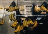 Food Pass 2022, Επιδότηση,Food Pass 2022, epidotisi