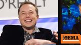 Elon Musk, “My,ProsecuteFauci”