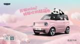 Panda,Fiat