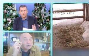 Επικό, Μπέου, ΑΝΤ1…VIDEO, epiko, beou, ant1…VIDEO