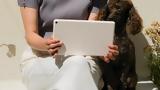 Google Pixel Tablet, Δείτε,Google Pixel Tablet, deite